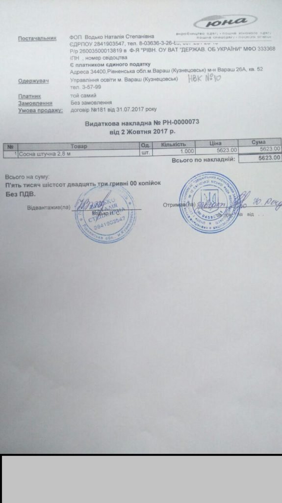 сосна